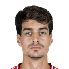 Player image