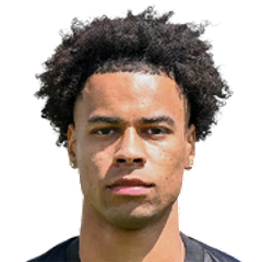 Player image