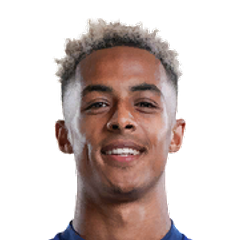 Player image
