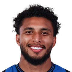 Player image